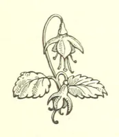 An illustration from Nebraska, its advantages, resources, and drawbacks. Illustrated (1875)