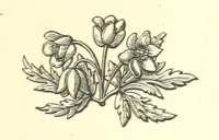 An illustration from Nebraska, its advantages, resources, and drawbacks. Illustrated (1875)
