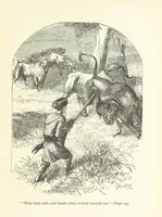 An illustration from The White Elephant; or, the Hunters of Ava and the King of the Golden Foot ... With illustrations by Harrison Weir (1888)