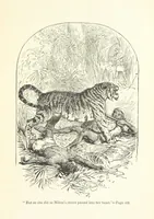 An illustration from The White Elephant; or, the Hunters of Ava and the King of the Golden Foot ... With illustrations by Harrison Weir (1888)