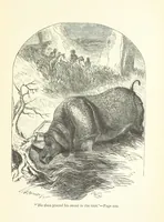 An illustration from The White Elephant; or, the Hunters of Ava and the King of the Golden Foot ... With illustrations by Harrison Weir (1888)