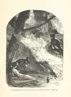 An illustration from The White Elephant; or, the Hunters of Ava and the King of the Golden Foot ... With illustrations by Harrison Weir (1888)