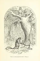 An illustration from The White Elephant; or, the Hunters of Ava and the King of the Golden Foot ... With illustrations by Harrison Weir (1888)