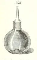 Picture 109 of 310 from A Text-Book of Mineralogy. With an extended treatise on crystallography and physical mineralogy. By E. S. Dana ... on the plan and with the co-operation of Professor James D. Dana, etc (1877), leaf 138