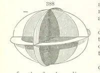 An illustration from A Text-Book of Mineralogy. With an extended treatise on crystallography and physical mineralogy. By E. S. Dana ... on the plan and with the co-operation of Professor James D. Dana, etc (1877)