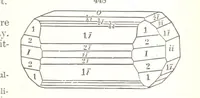 An illustration from A Text-Book of Mineralogy. With an extended treatise on crystallography and physical mineralogy. By E. S. Dana ... on the plan and with the co-operation of Professor James D. Dana, etc (1877)