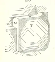 An illustration from A Text-Book of Mineralogy. With an extended treatise on crystallography and physical mineralogy. By E. S. Dana ... on the plan and with the co-operation of Professor James D. Dana, etc (1877)