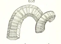 An illustration from A Text-Book of Mineralogy. With an extended treatise on crystallography and physical mineralogy. By E. S. Dana ... on the plan and with the co-operation of Professor James D. Dana, etc (1877)