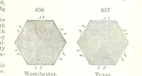 An illustration from A Text-Book of Mineralogy. With an extended treatise on crystallography and physical mineralogy. By E. S. Dana ... on the plan and with the co-operation of Professor James D. Dana, etc (1877)