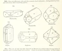 An illustration from A Text-Book of Mineralogy. With an extended treatise on crystallography and physical mineralogy. By E. S. Dana ... on the plan and with the co-operation of Professor James D. Dana, etc (1877)