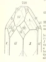An illustration from A Text-Book of Mineralogy. With an extended treatise on crystallography and physical mineralogy. By E. S. Dana ... on the plan and with the co-operation of Professor James D. Dana, etc (1877)