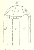 An illustration from A Text-Book of Mineralogy. With an extended treatise on crystallography and physical mineralogy. By E. S. Dana ... on the plan and with the co-operation of Professor James D. Dana, etc (1877)