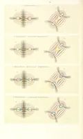 Picture 1 of 310 from A Text-Book of Mineralogy. With an extended treatise on crystallography and physical mineralogy. By E. S. Dana ... on the plan and with the co-operation of Professor James D. Dana, etc (1877), leaf 8