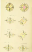 Picture 1 of 403 from A Text-Book of Mineralogy. With an extended treatise on crystallography and physical mineralogy ... on the plan and with the co-operation of ... James D. Dana ... With ... woodcuts ... Newly revised and enlarged. 17th edition, etc (1898), leaf 10