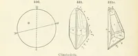 Picture 124 of 403 from A Text-Book of Mineralogy. With an extended treatise on crystallography and physical mineralogy ... on the plan and with the co-operation of ... James D. Dana ... With ... woodcuts ... Newly revised and enlarged. 17th edition, etc (1898), leaf 122