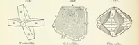 An illustration from A Text-Book of Mineralogy. With an extended treatise on crystallography and physical mineralogy ... on the plan and with the co-operation of ... James D. Dana ... With ... woodcuts ... Newly revised and enlarged. 17th edition, etc (1898)