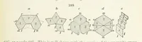 An illustration from A Text-Book of Mineralogy. With an extended treatise on crystallography and physical mineralogy ... on the plan and with the co-operation of ... James D. Dana ... With ... woodcuts ... Newly revised and enlarged. 17th edition, etc (1898)