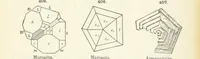 An illustration from A Text-Book of Mineralogy. With an extended treatise on crystallography and physical mineralogy ... on the plan and with the co-operation of ... James D. Dana ... With ... woodcuts ... Newly revised and enlarged. 17th edition, etc (1898)