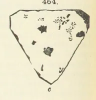 Picture 184 of 403 from A Text-Book of Mineralogy. With an extended treatise on crystallography and physical mineralogy ... on the plan and with the co-operation of ... James D. Dana ... With ... woodcuts ... Newly revised and enlarged. 17th edition, etc (1898), leaf 158
