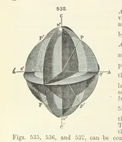 An illustration from A Text-Book of Mineralogy. With an extended treatise on crystallography and physical mineralogy ... on the plan and with the co-operation of ... James D. Dana ... With ... woodcuts ... Newly revised and enlarged. 17th edition, etc (1898)