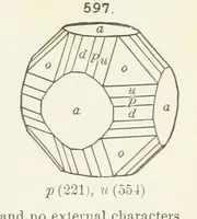 Picture 247 of 403 from A Text-Book of Mineralogy. With an extended treatise on crystallography and physical mineralogy ... on the plan and with the co-operation of ... James D. Dana ... With ... woodcuts ... Newly revised and enlarged. 17th edition, etc (1898), leaf 305