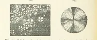 Picture 288 of 403 from A Text-Book of Mineralogy. With an extended treatise on crystallography and physical mineralogy ... on the plan and with the co-operation of ... James D. Dana ... With ... woodcuts ... Newly revised and enlarged. 17th edition, etc (1898), leaf 390