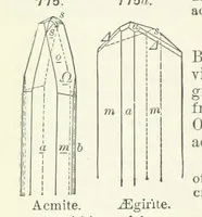 Picture 305 of 403 from A Text-Book of Mineralogy. With an extended treatise on crystallography and physical mineralogy ... on the plan and with the co-operation of ... James D. Dana ... With ... woodcuts ... Newly revised and enlarged. 17th edition, etc (1898), leaf 410