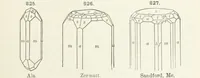 An illustration from A Text-Book of Mineralogy. With an extended treatise on crystallography and physical mineralogy ... on the plan and with the co-operation of ... James D. Dana ... With ... woodcuts ... Newly revised and enlarged. 17th edition, etc (1898)