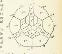 An illustration from A Text-Book of Mineralogy. With an extended treatise on crystallography and physical mineralogy ... on the plan and with the co-operation of ... James D. Dana ... With ... woodcuts ... Newly revised and enlarged. 17th edition, etc (1898)
