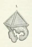 Picture 55 of 86 from Manual of Mineralogy, including observations on mines, rocks, reduction of ores, and the applications of the science to the arts ... Fourth edition (1878), leaf 124