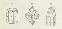 Picture 31 of 86 from Manual of Mineralogy, including observations on mines, rocks, reduction of ores, and the applications of the science to the arts ... Fourth edition (1878), leaf 61
