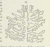 An illustration from Manual of Mineralogy, including observations on mines, rocks, reduction of ores, and the applications of the science to the arts ... Fourth edition (1878)