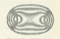 Picture 49 of 86 from Manual of Mineralogy, including observations on mines, rocks, reduction of ores, and the applications of the science to the arts ... Fourth edition (1878), leaf 82