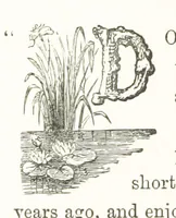 An illustration from The Handbook to the Rivers and Broads of Norfolk & Suffolk. [With illustrations and a map (1888)