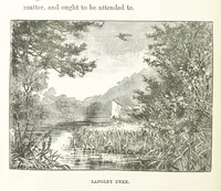 Picture 9 of 36 from The Handbook to the Rivers and Broads of Norfolk & Suffolk. [With illustrations and a map (1888), leaf 42