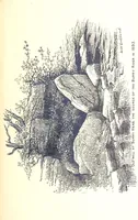 Picture 74 of 101 from A History of West Gower, Glamorganshire. (pt. 2. Historical Notices of the Parishes of Llanmadoc and Cheriton, etc.-pt. 3. Historical Notices of the Parishes of Llangenydd and Rhosili, etc.-pt. 4. Historical Notices of the Parishes of Penrice, Oxwich and Nicholaston, etc.) (1877), leaf 451