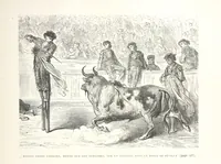 Picture 166 of 310 from L'Espagne ... Illustrée de 309 gravures dessinées sur bois par Gustave Doré (1874), leaf 433