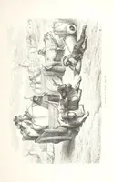 Picture 188 of 310 from L'Espagne ... Illustrée de 309 gravures dessinées sur bois par Gustave Doré (1874), leaf 503