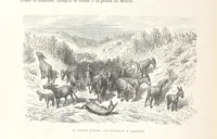 Picture 206 of 310 from L'Espagne ... Illustrée de 309 gravures dessinées sur bois par Gustave Doré (1874), leaf 558