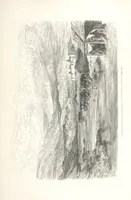 Picture 207 of 310 from L'Espagne ... Illustrée de 309 gravures dessinées sur bois par Gustave Doré (1874), leaf 559