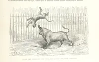 Picture 210 of 310 from L'Espagne ... Illustrée de 309 gravures dessinées sur bois par Gustave Doré (1874), leaf 567
