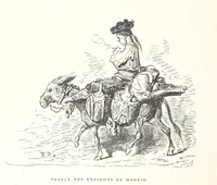 Picture 213 of 310 from L'Espagne ... Illustrée de 309 gravures dessinées sur bois par Gustave Doré (1874), leaf 580