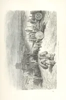 Picture 257 of 310 from L'Espagne ... Illustrée de 309 gravures dessinées sur bois par Gustave Doré (1874), leaf 675