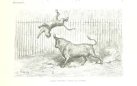 Picture 171 of 236 from Spain ... Illustrated by Gustave Doré. Translated by J. Thomson (1876), leaf 425