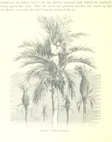 An illustration from Spain ... Illustrated by Gustave Doré. Translated by J. Thomson (1881)