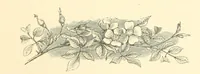 An illustration from Dawn to Daylight: or, Gleams from the poets of twelve centuries. With above two hundred illustrations (1874)
