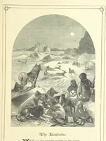 An illustration from Dawn to Daylight: or, Gleams from the poets of twelve centuries. With above two hundred illustrations (1874)
