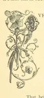 An illustration from Dawn to Daylight: or, Gleams from the poets of twelve centuries. With above two hundred illustrations (1874)
