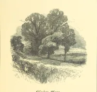 An illustration from Dawn to Daylight: or, Gleams from the poets of twelve centuries. With above two hundred illustrations (1874)