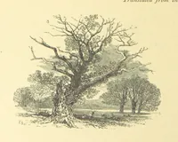 An illustration from Dawn to Daylight: or, Gleams from the poets of twelve centuries. With above two hundred illustrations (1874)